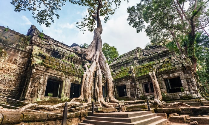 Ta Prohm temple, Cambodia