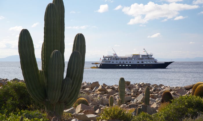 UnCruise Adventures in the Sea of Cortez