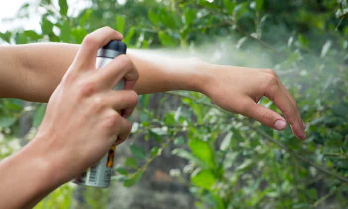 Insect repellent