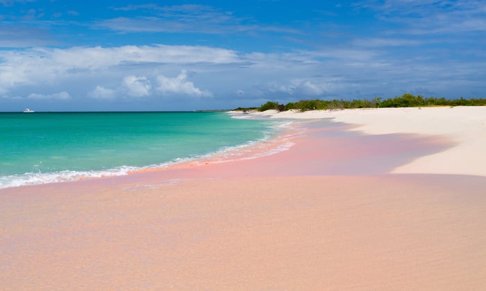 Pink sand beach in Barbuda