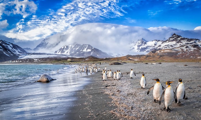 Katabatic Winds in St Andrews Bay, South Georgia