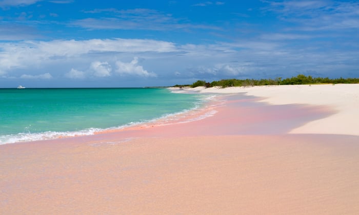 Pink sand beach in Barbuda, a unusual port on Caribbean cruises