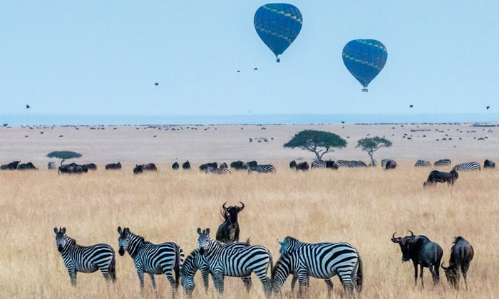 Hot air balloons over the Maasai Mara