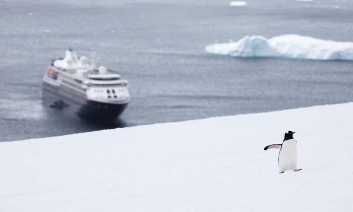 Silver Cloud - Penguin in Antarctica