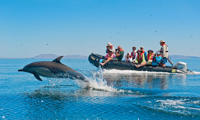Lindblad Expeditions - Zodiac excursion in the Sea of Cortez