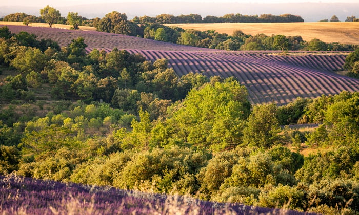 rhone river cruise review