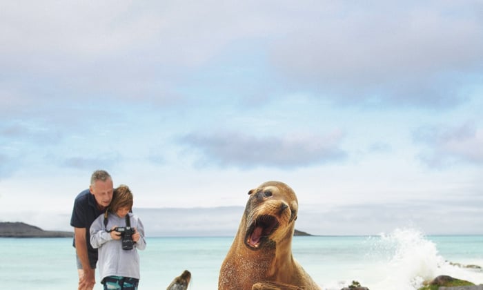 Viewing sea lions on a family holiday to the Galapagos