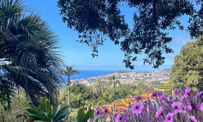 View from botanical gardens, Funchal, Madeira