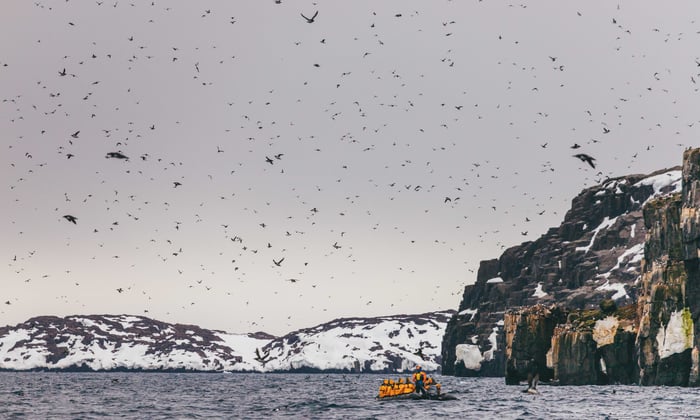 Quark Expeditions - Zodiac excursion in Spitsbergen to view seabirds