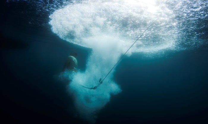 Polar Plunge