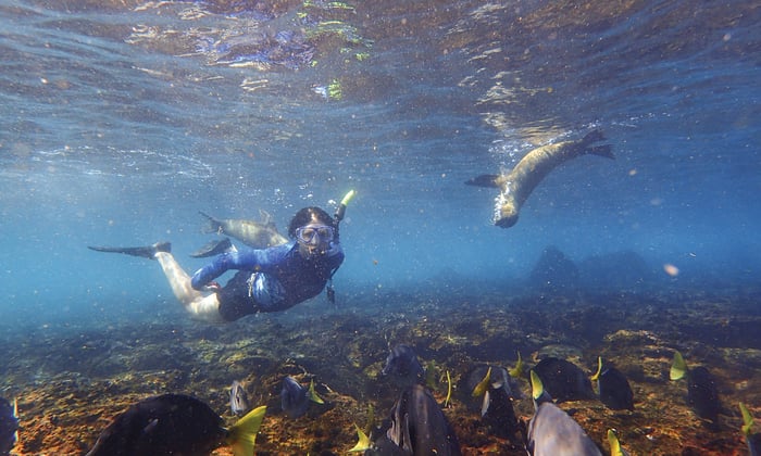 Snorkelling in the Galapagos