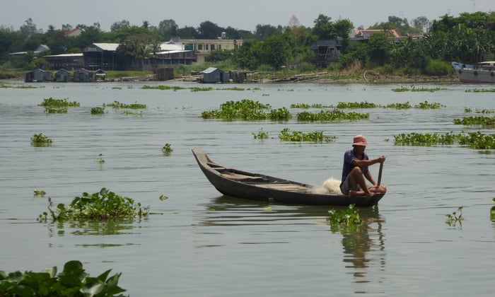 Fisherman in Chau Doc, Vietnam