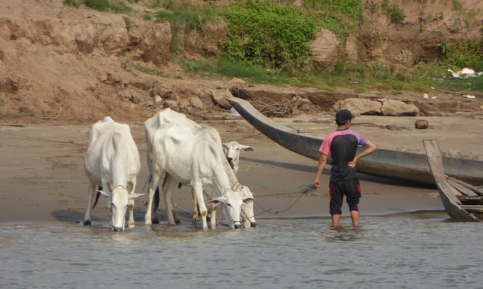 Life on the Mekong in Cambodia