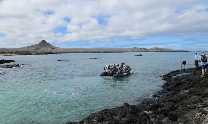 Silver Galapagos - Zodiac landing on Isabela
