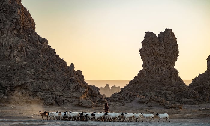 Lake Abbe, Djibouti