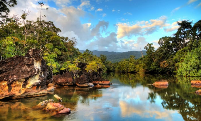 Masaola National Park in Madagascar
