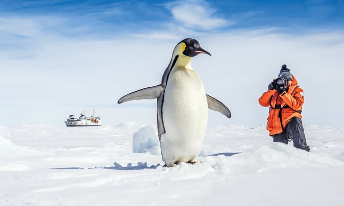 Photographing penguins on a Lindblad Expeditions cruise to Antarctica