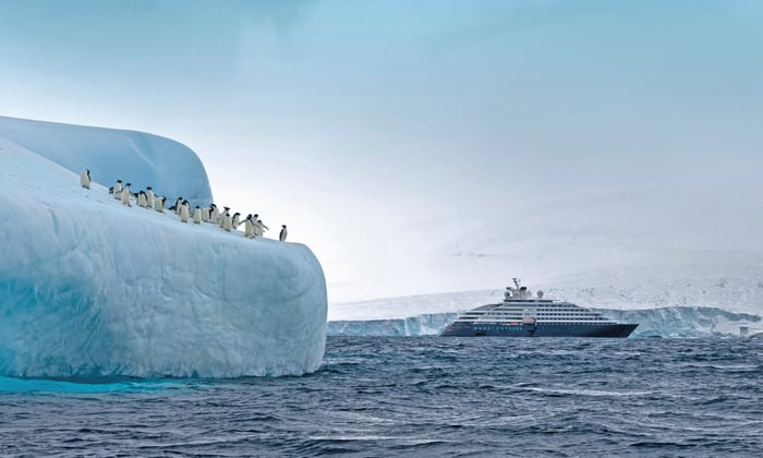 Adelie penguins and Scenic Eclipse in Antarctica
