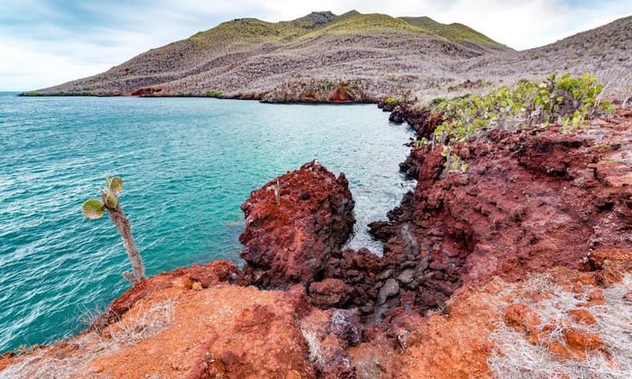 Santiago Island, Galapagos
