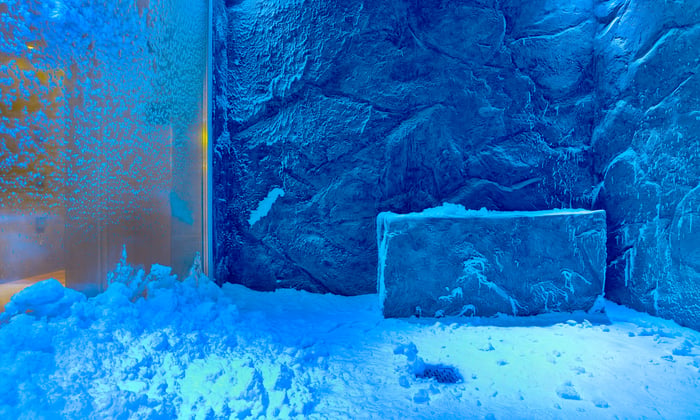 Viking Ocean Cruises - Spa snow room
