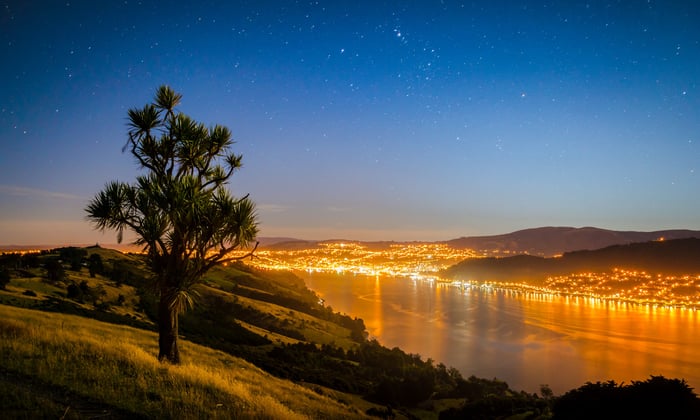 Dunedin by night