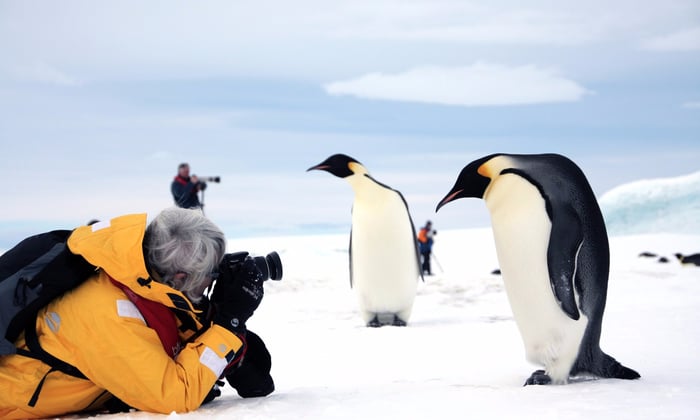 Quark Expeditions - Emperor penguins