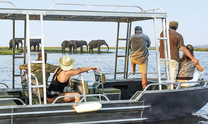 Game viewing on the Zambezi Queen in Chobe National Park