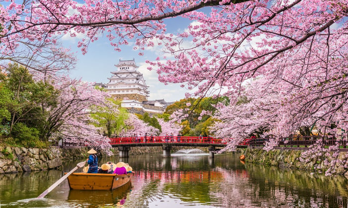 Himeji Castle in spring, Japan