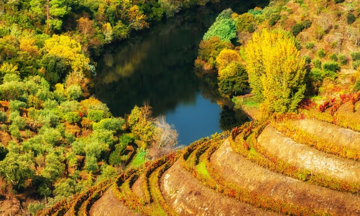 Autumn on the Douro, Portugal