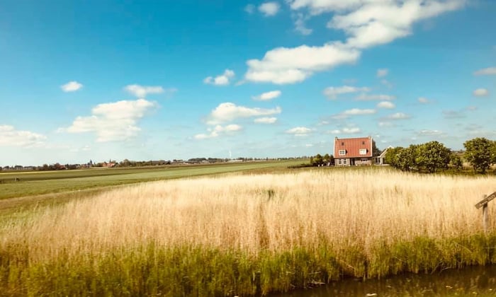 Countryside around Amsterdam