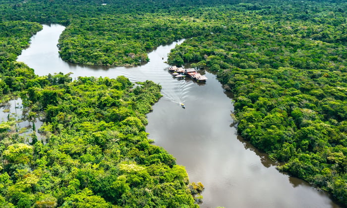 The Amazon Rainforest in Peru