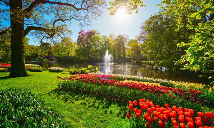 Keukenhof Gardens, Holland