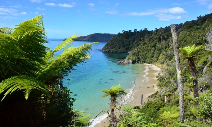 Stewart Island, New Zealand