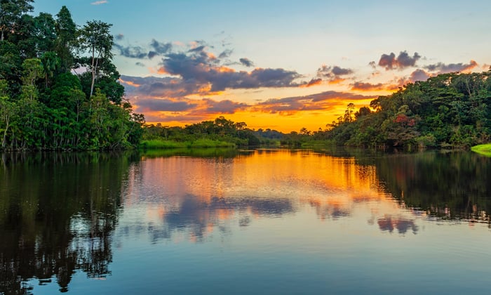 Lagoon inside the Amazon Rainforest, Brazil