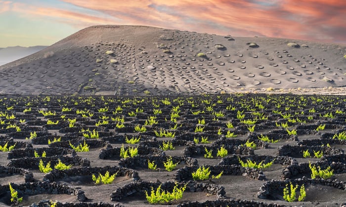 La Geria in Lanzarote, Canary islands