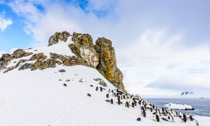 Half Moon Island, South Shetland Islands
