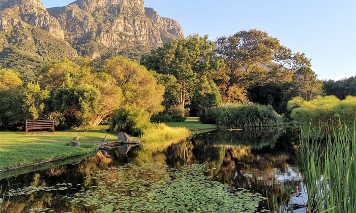 Kirstenbosch National Botanical Gardens, South Africa