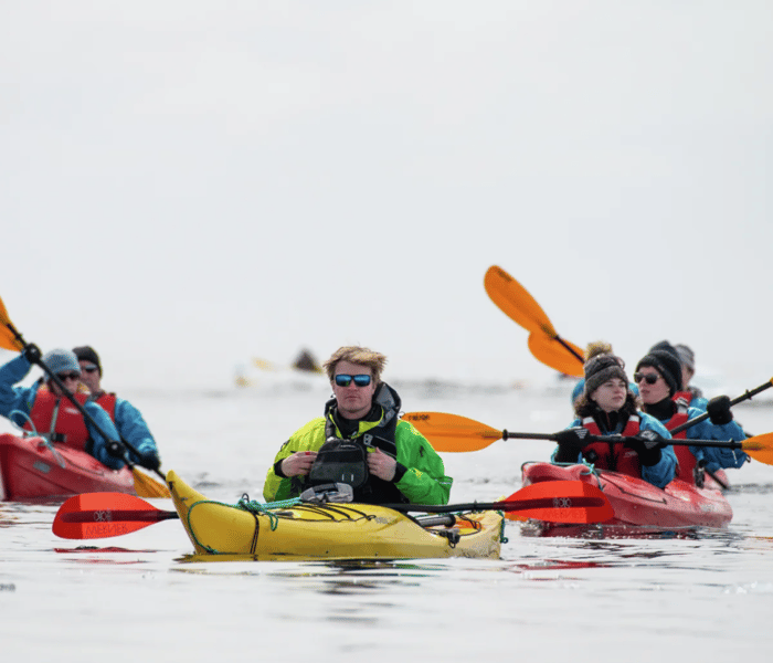 Kayaking in the Arctic with HX Expeditions