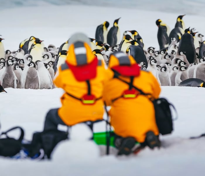 Quark Expeditions' guests on Snow Hill Island observing Emperor penguins