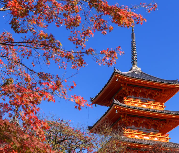 visit japan's Kyoto on an Asia Cruise