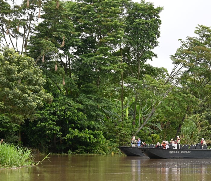A skiff outing on board Aqua Expeditions' Amazon river cruise