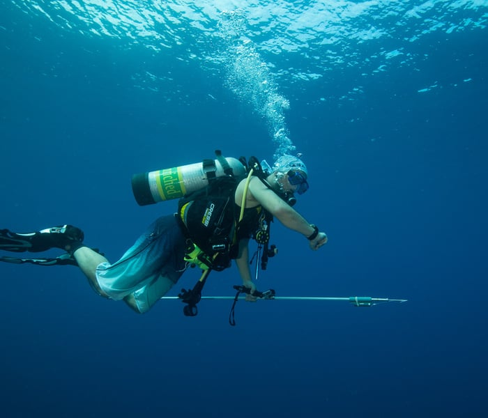 Alex Hearn tagging Galapagos sharks
