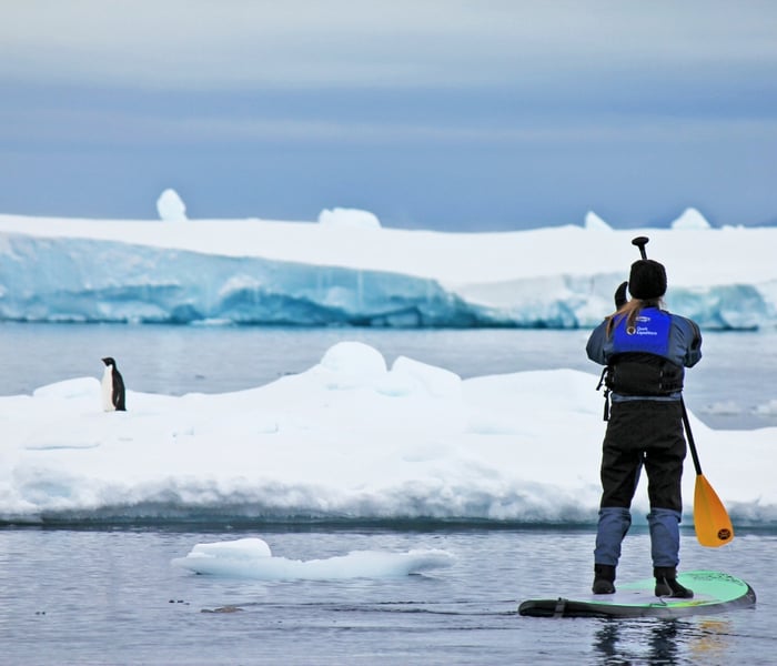 Standup paddleboarding in Antarctica with Quark Expeditions