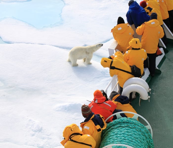 Quark Expeditions' guests in Svalbard observing a polar bear