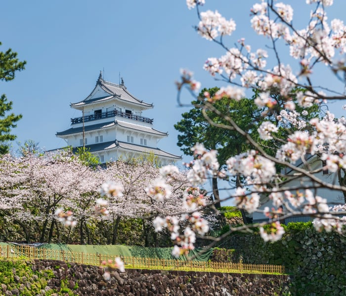 Shimabara castle during spring in Nagasaki, Japan