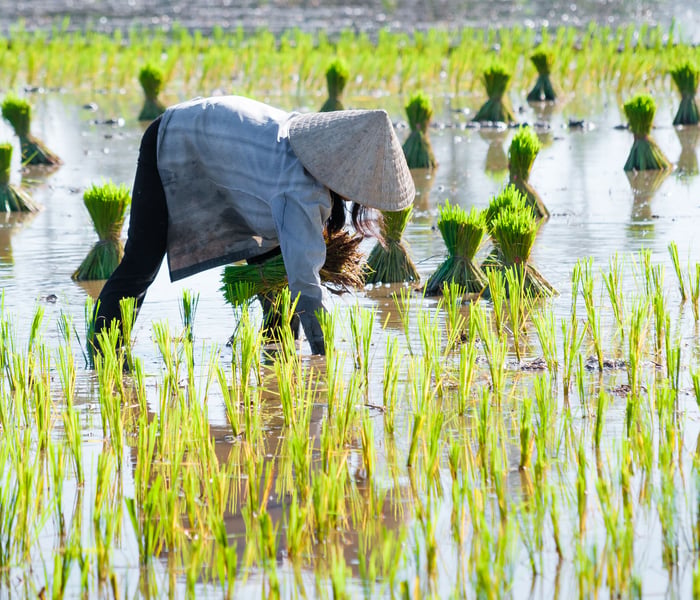 Local on the Mekong river