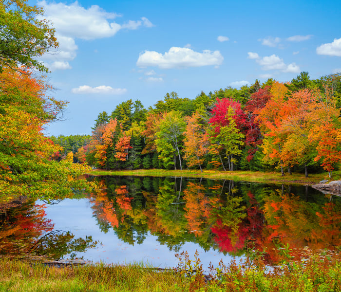 New England in the autumn, the best time to cruise canada and new england
