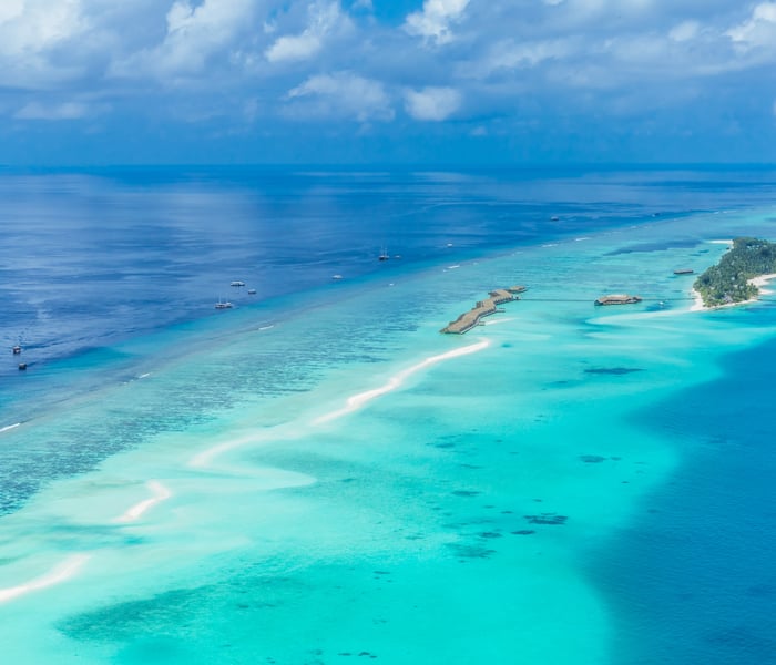 ari atoll in the maldives, indian ocean