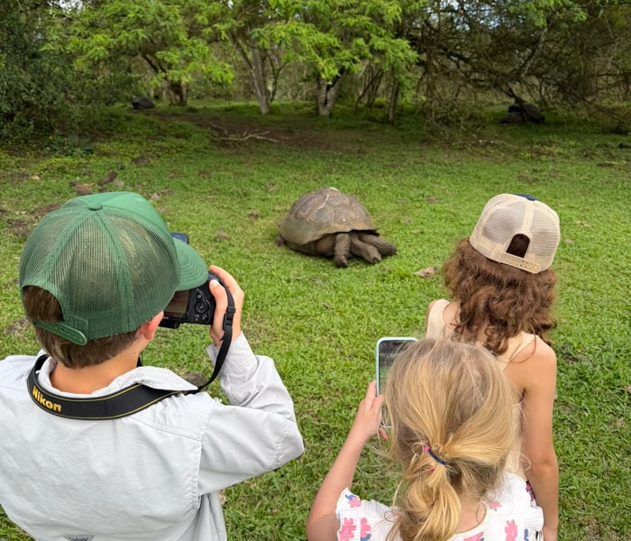 Kids Tortoise Safari - Santa Cruz