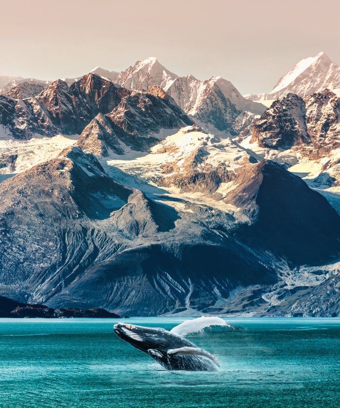 alaska small ship cruises